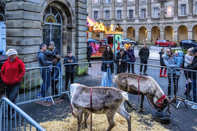 Santa's reindeer made a detour to Buxton on Saturday. Picture David Dukesell