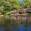 The annual New Mills Duck Race always draws a big crowd. Photo New Mills Duck Race