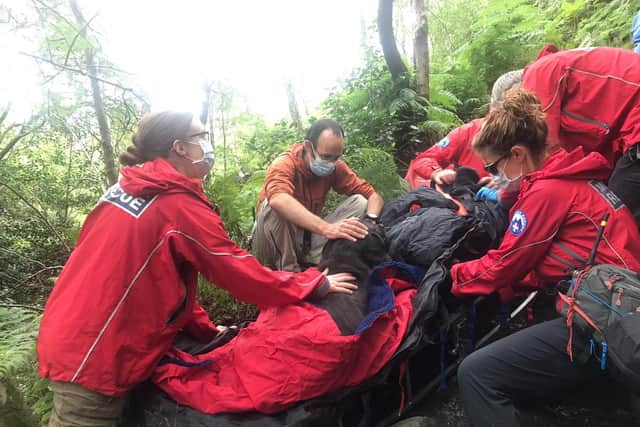 Edale Mountain Rescue Team lent a helping hand after Jess the Labrador became unwell and unable to continue her walk