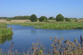 Make Derbyshire wild again and support the trust's campaign.