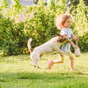 Parents have been warned not to leave their children alone with dogs amid shocking new figures which show that one in six kids have been bitten by a pet – with over 80% of those needing to see a doctor.