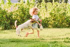 Parents have been warned not to leave their children alone with dogs amid shocking new figures which show that one in six kids have been bitten by a pet – with over 80% of those needing to see a doctor.