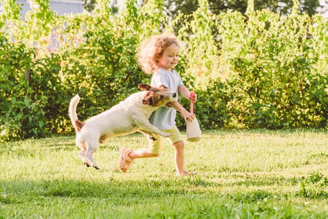 Parents have been warned not to leave their children alone with dogs amid shocking new figures which show that one in six kids have been bitten by a pet – with over 80% of those needing to see a doctor.