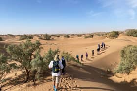 Walking through the desert