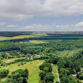 Landal Kenwick Woods is set in abundant greenery as far as the eye can see.