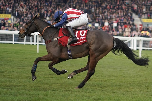 Owned by the Makin' Bacon Partnership, Emma Lavelle's 10yo is the most weirdly named runner this year. But if you're looking for a big-priced outsider to spring a surprise, he could be the answer. He's been allotted a handicap rating identical to that off which he won the Ladbrokes Trophy (former Hennessy Gold Cup) three seasons ago and although he's been plagued by injury and absence ever since, he shaped very nicely behind quality opposition on his seasonal comeback run two months ago.
