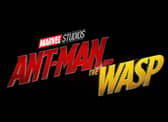 Only in the MCU do sequels regularly outrank their forerunners, with Ant-Man and the Wasp scoring 87%. Paul Rudd and Evangeline Lilly bring a lighter note to the MCU, while also paving the way for the Avengers to save half of the universe with their foray into the Quantum Realm.