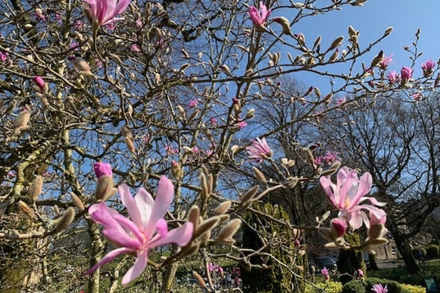 Buxton is looking great in the spring sunshine in this latest photo by Pauline Baines.