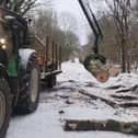Tractors and other vehicles are being used to remove timber along the trails - one of the reasons why walkers have been urged to adhere to any closures.  Credit: Peak District National Park Authority