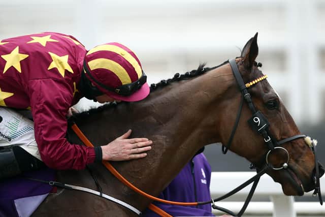 Minella Indo gets a cuddle from jockey Jack Kennedy after winning last year's Cheltenham Gold Cup. (PHOTO BY: Tim Goode/Getty Images)