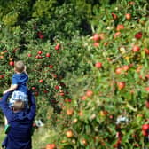 Apple Day at Lotherton Hall, near Leds