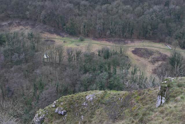 Looking across Cressbrook Dale towards the land under dispute. A large tent is visible through the trees. (Photo: Jason Chadwick)