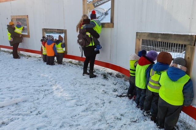 Youngsters from Bridgemont Nursery took a winter walk and visited the dam site to watch the diggers in the snow. Pic submitted
