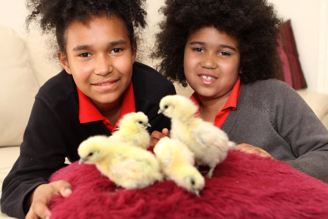 Tiegan and Aspen Marie-Dixon with their Easter chicks. Photo Jason Chadwick