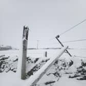 Electricity poles brought down in the High Peak by Storm Arwen.