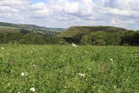 The landscape of the White Peak will see more work to restore natural features and wildlife in the coming years.