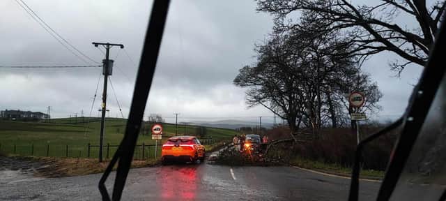 High winds brought a tree down on Waterswallows in Buxton. Photo Buxton Weather Watch