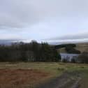 Forestry England manages and cares for the nation’s 1,500 woods and forests, with over 230 million visits per year.