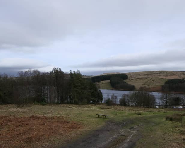 Forestry England manages and cares for the nation’s 1,500 woods and forests, with over 230 million visits per year.