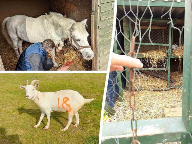 Animals at the Haywill Animal Centre in Glossop, Derbyshire, were found to be suffering from a severe set of maladies.