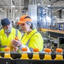 The Tropicana winner on a factory visit.