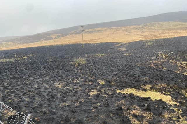 An area of damaged moorland in the Peak District after a fire.