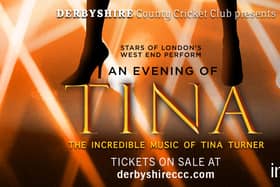 An Evening with Tina features singers from London's West End.