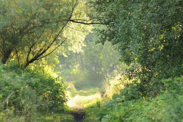 Sunny Hogshaw: this photo was was taken by local naturalist Mark Cocker