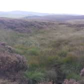 Vegetated gully on Combs Moss