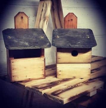 Brindley Timberworks is giving away two bird boxes to 25 nurseries and primary schools in the High Peak