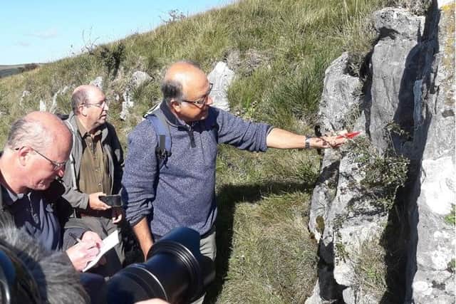 A professor will be leading a geology walk as part of the Heritage Open Days Festival. Pic submitted