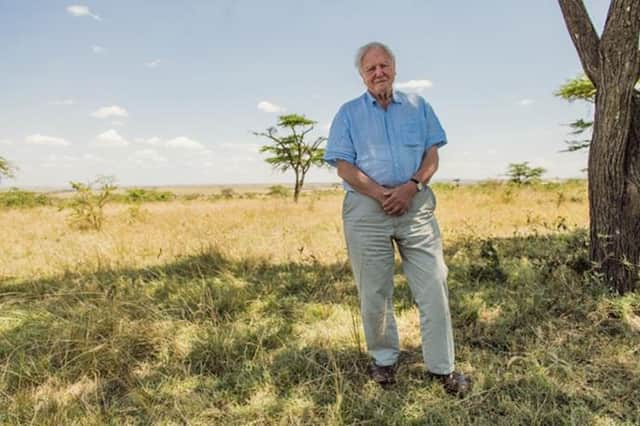 David Attenborough filming in the Maasi Mara in Kenya. Photo by Conor McDonnell/WWF-UK.