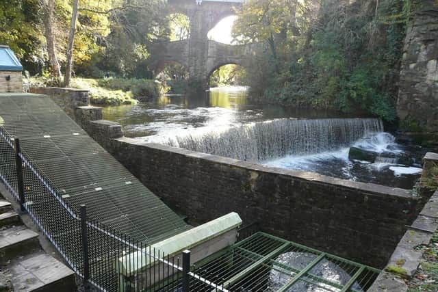 Torrs Hydro New Mills Ltd is selling community shares to help fund a major upgrade to its flagship renewable energy plant.