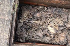 Drain clogged with wet wipes