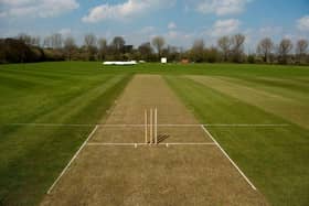 Cricket pitch