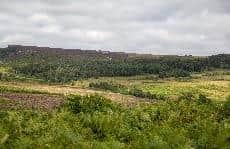 Discover Longshaw Estate guided walk offers the opportunity to learn more about the local archaeological features from the Bronze Age to the early 18th century (photo: Annapurna Mellor)