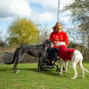 Mona the Lurcher only has one thing on her list this year, a new friend.