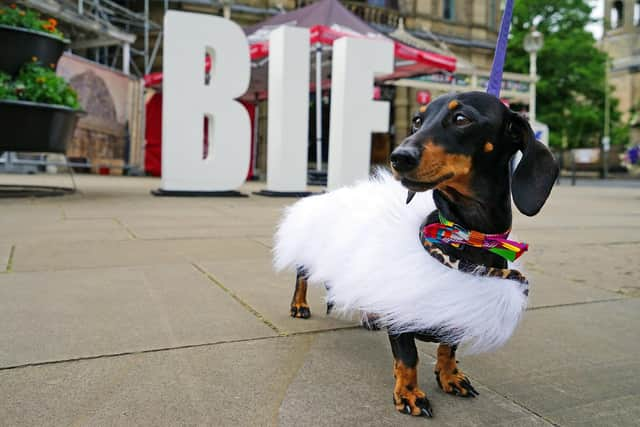 Greta outside Buxton Opera House