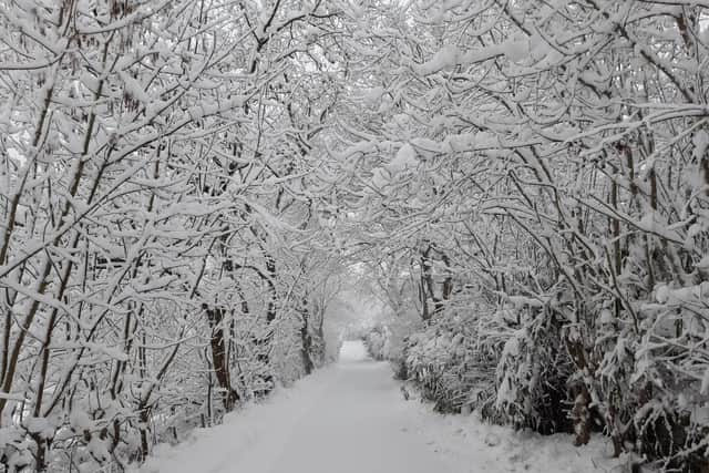 A Scene Of Snow And Ice, Courtesy Of Ldr Jon Cooper