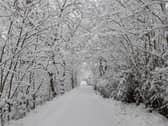 A Scene Of Snow And Ice, Courtesy Of Ldr Jon Cooper
