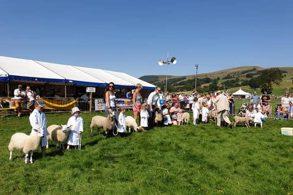 The sheep line up at Hope Show
