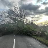The yellow weather warning will be in place in Derbyshire between 8 am and 10 pm on Sunday, December 24 as strong winds are set to hit again. 
This comes only days after Storm Pia caused havoc across the county on December 21 – when around 70 fallen trees were reported to the Derbyshire County Council, causing disruption for drivers, as well as trains and bus cancellations.