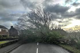 The yellow weather warning will be in place in Derbyshire between 8 am and 10 pm on Sunday, December 24 as strong winds are set to hit again. 
This comes only days after Storm Pia caused havoc across the county on December 21 – when around 70 fallen trees were reported to the Derbyshire County Council, causing disruption for drivers, as well as trains and bus cancellations.