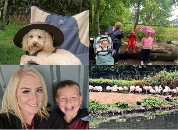 Gazette readers have been sharing their favourite pictures from the bank holiday weekend.