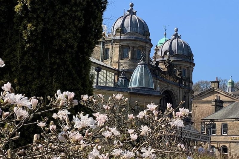 The spring blossom in Buxton is looking delightful in this latest photo by Pauline Baines.