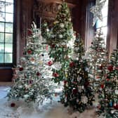 There are beautifully decorated Christmas trees throughout Chatsworth House.