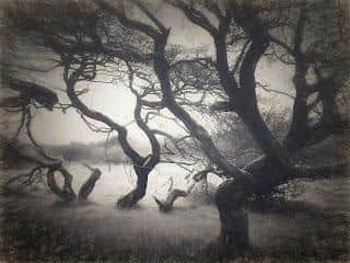 Spirit of the Hawthorns a photograph by Valerie Dalling will form part of the exhibition Treasuring trees at Buxton Museum and Art Gallery