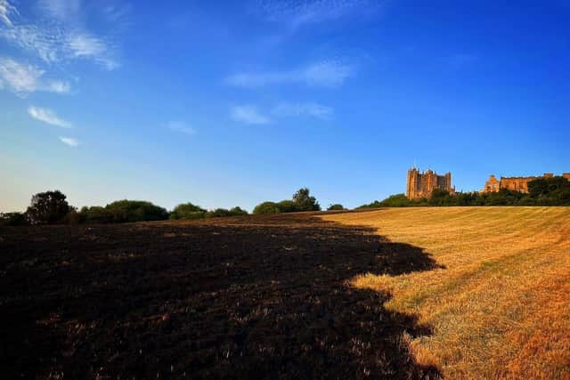 A field was left charred by a deliberate blaze at Bolsover Castle last month