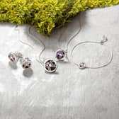 C W Sellors Fine Jewellery have launched a limited edition jewellery collection to celebrate the Peak District National Park's 70th anniversary and raise funds.