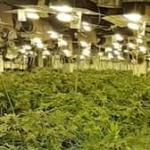 The huge haul is thought to be worth around £1million.